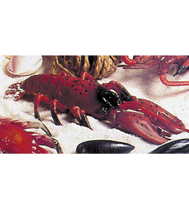 Spiny Lobster Prop 13"
